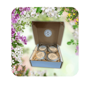 New!!   Pocket Sized Treat Tins  Set of 4