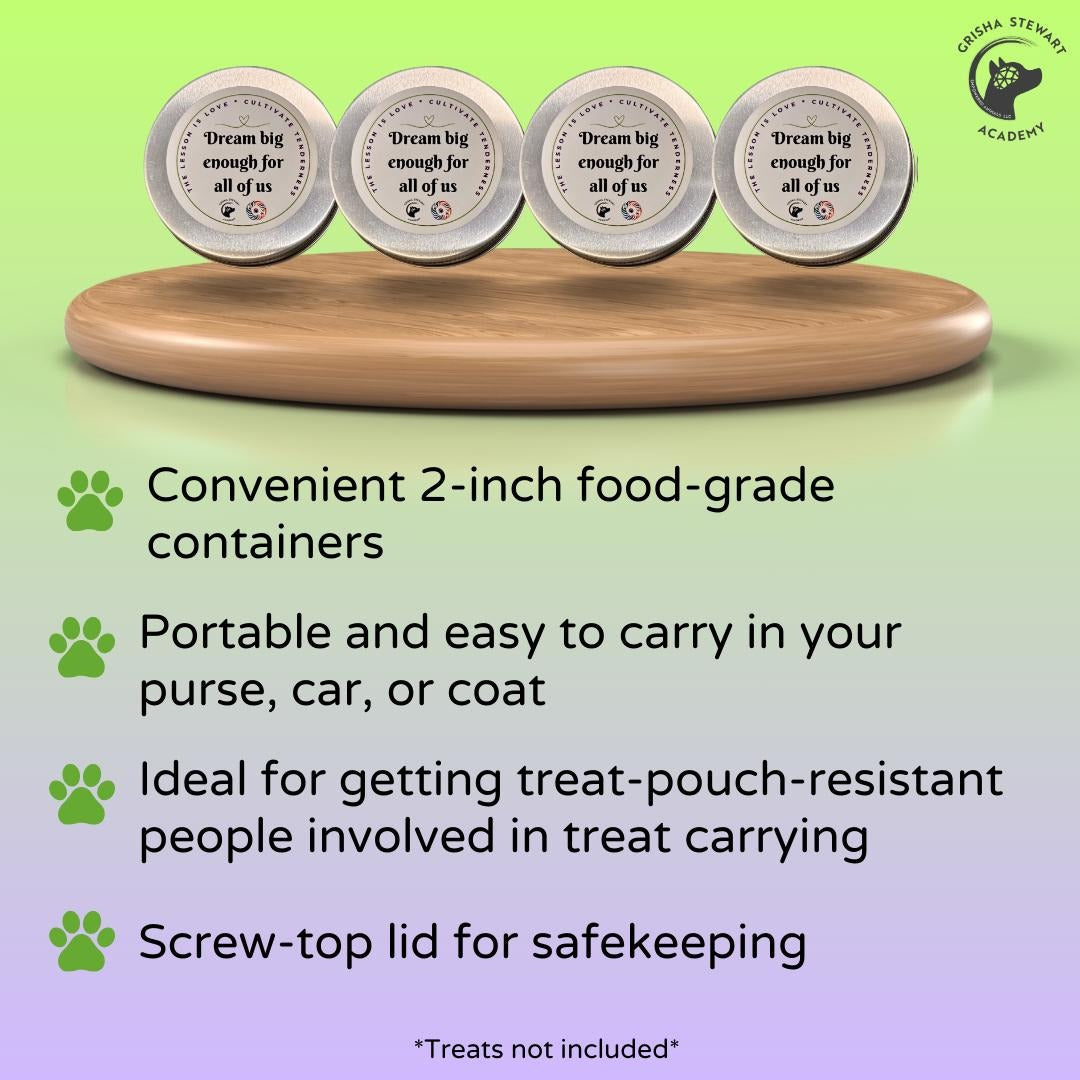 New!!   Pocket Sized Treat Tins  Set of 4