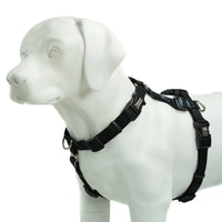 Balance Harness: Buckle Neck