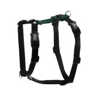 Balance Harness: Buckle Neck