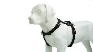 Balance Harness: Buckle Neck