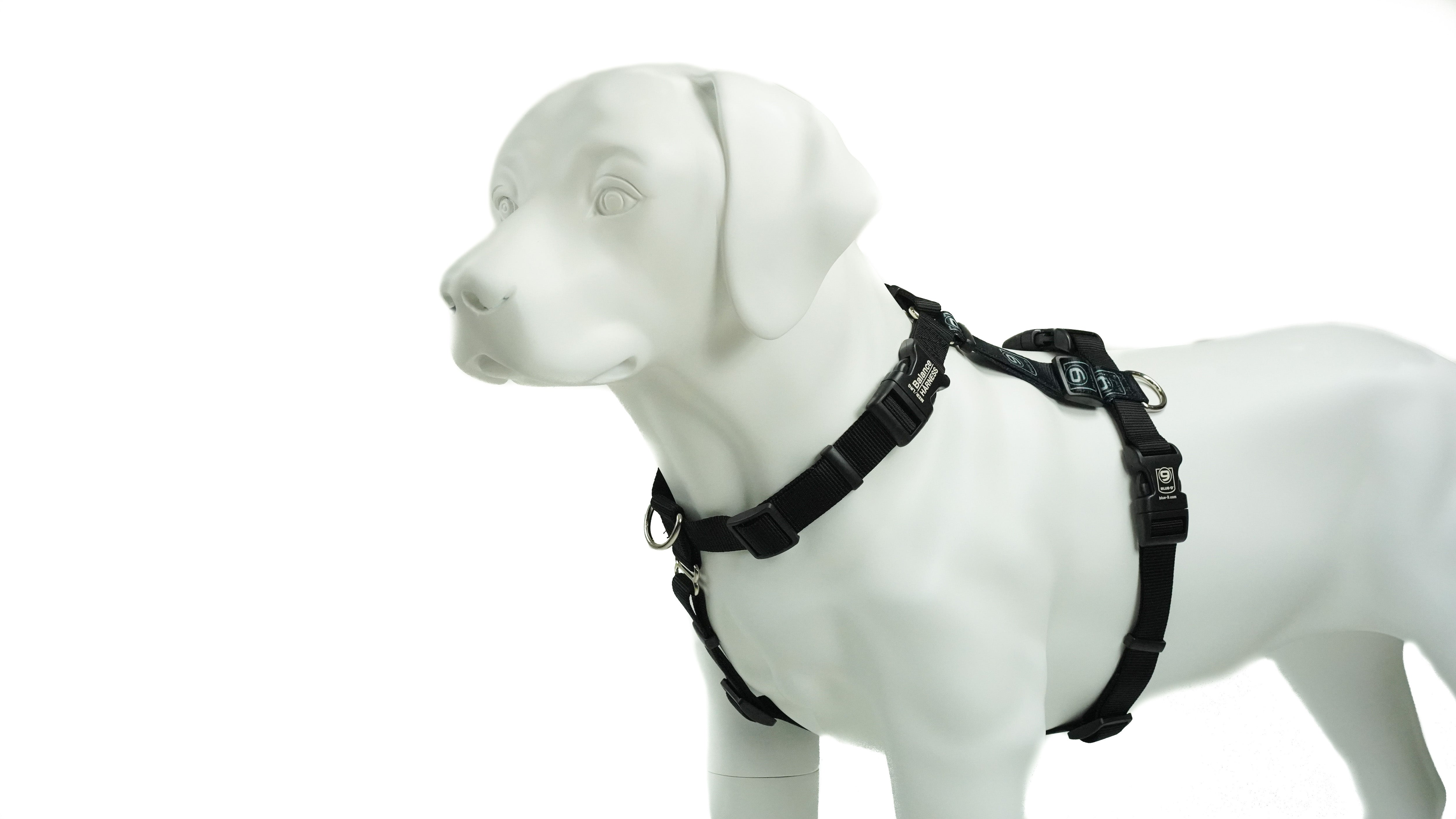 Balance Harness: Buckle Neck