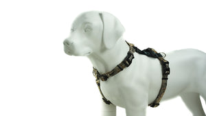 Balance Harness: Buckle Neck