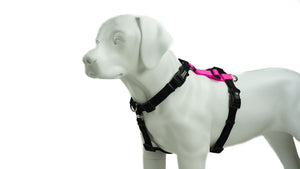 Balance Harness: Buckle Neck