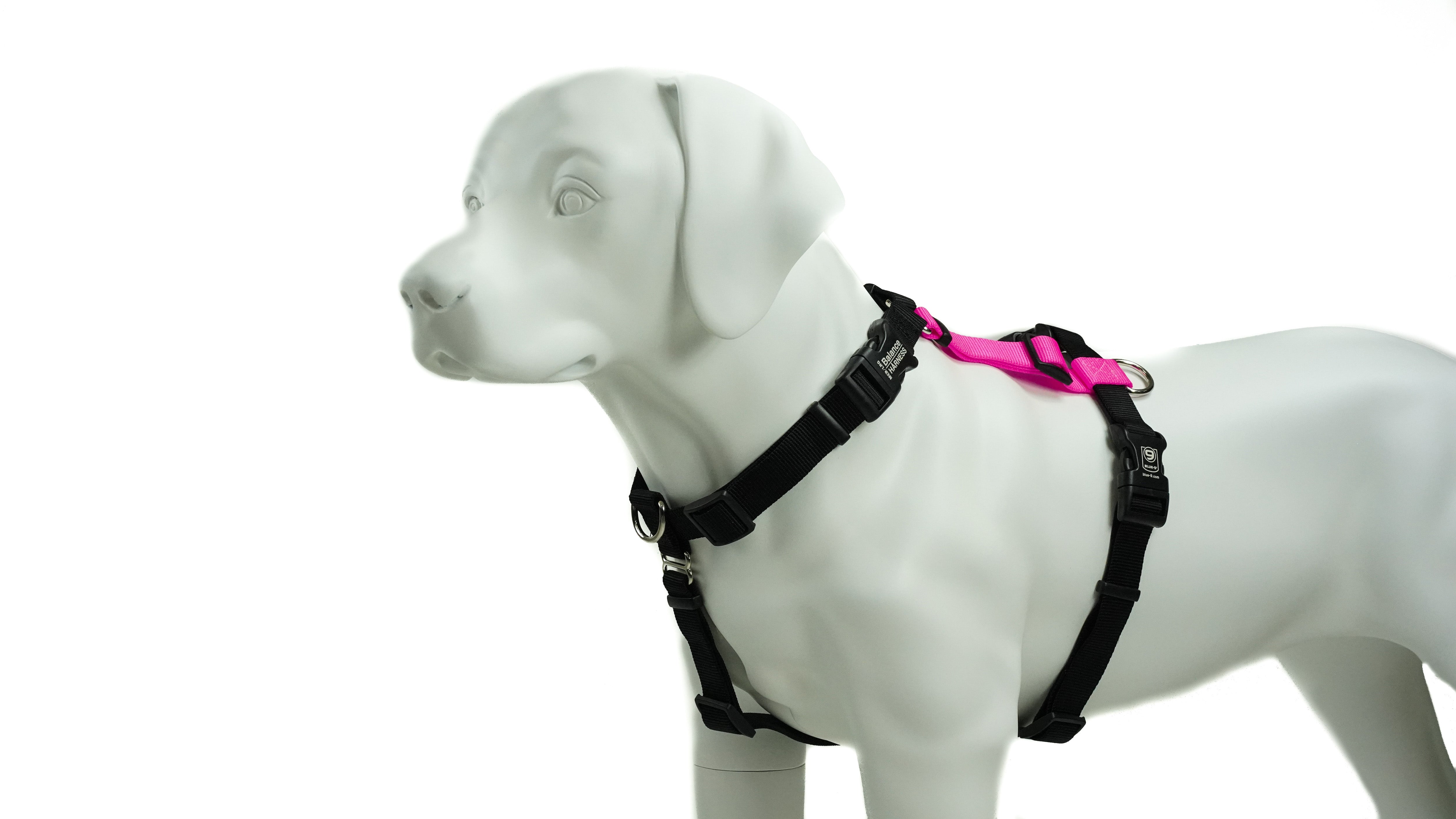 Balance Harness: Buckle Neck