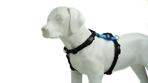 Balance Harness: Buckle Neck