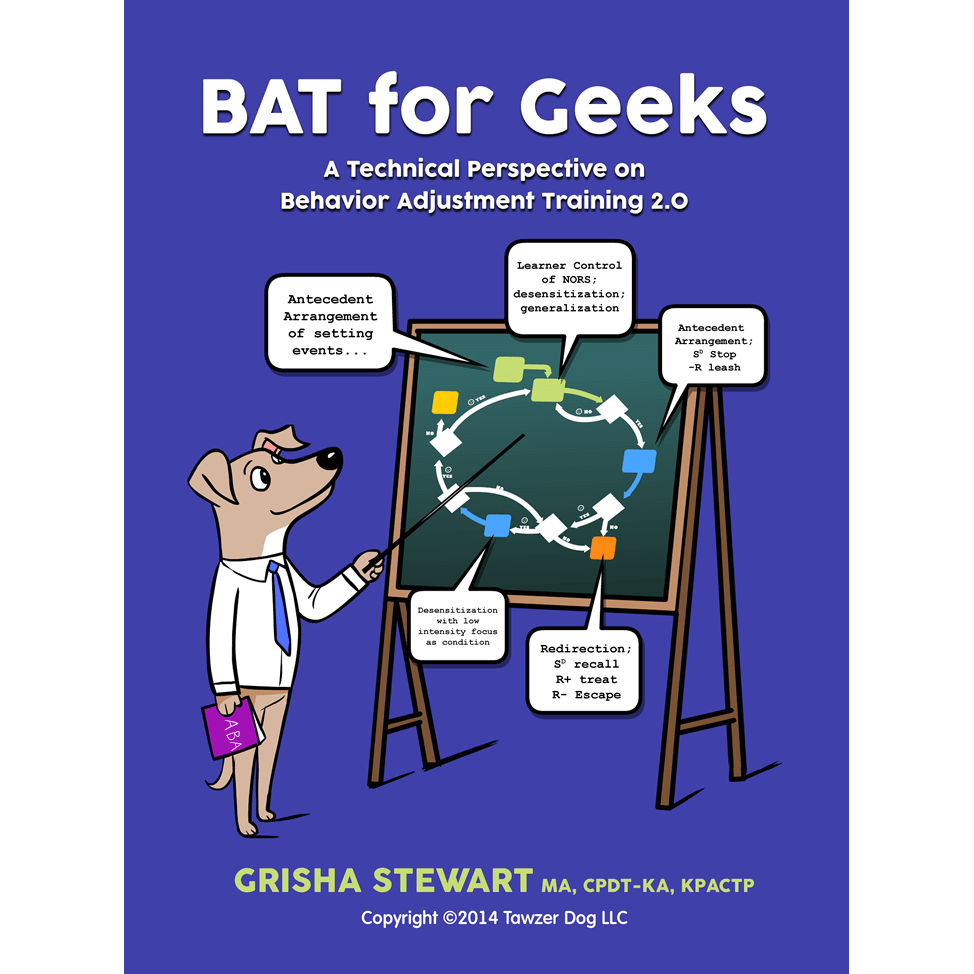 BAT for Geeks: BAT Empowerment Streaming Video 6