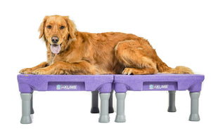 KLIMB™ Dog Training Platform