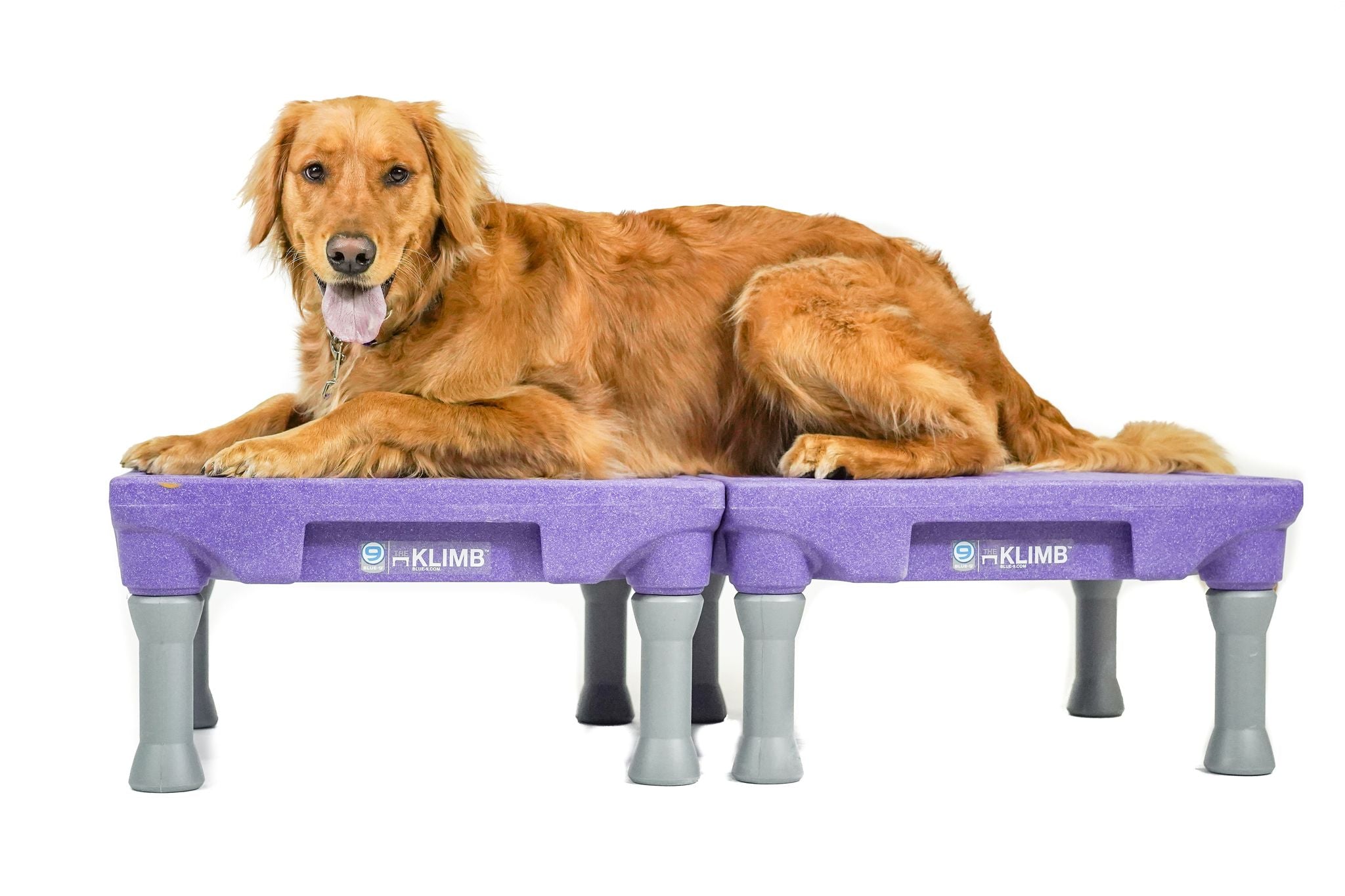 KLIMB™ Dog Training Platform