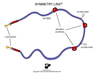 Symmetry Line: All-in-One Double-Ended Dog Leash 16 Feet 1/2 inch