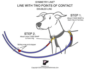 Symmetry Line: All in One Double-Ended Dog Leash 16 Feet 3/8 inch