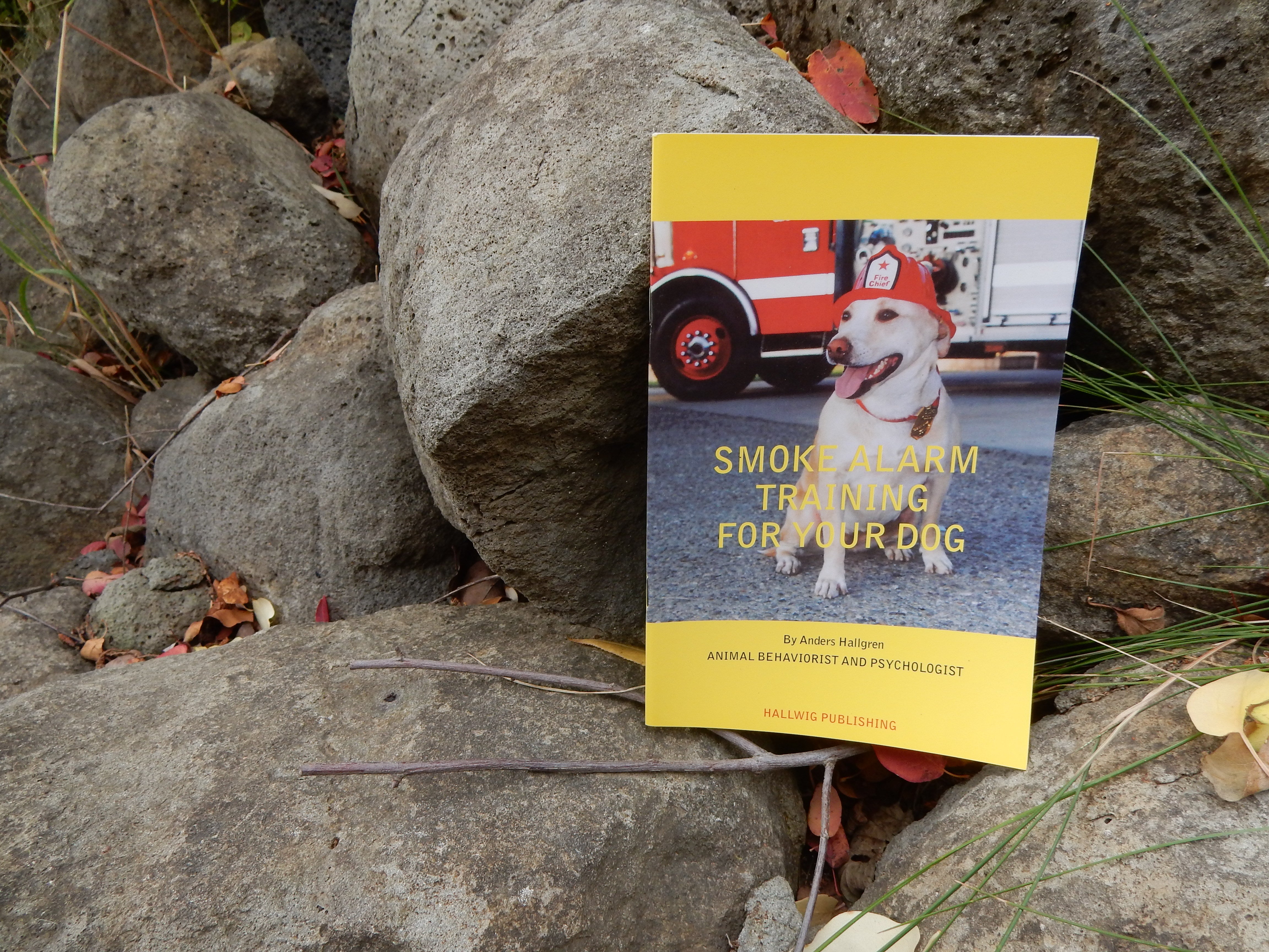Smoke Alarm Training for Your Dog by Anders Hallgren MSc