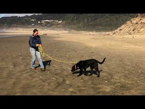 Leash Belay Hardware Kit (NEW!)