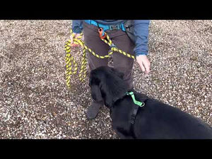 Grisha using Leash Belay Kit with Joey