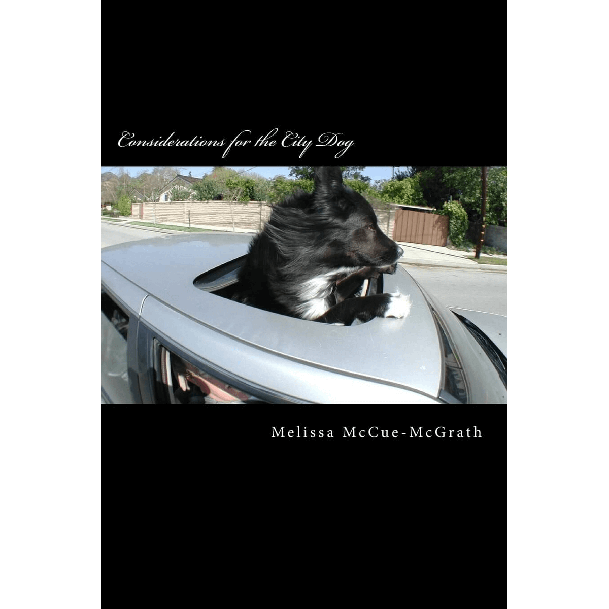 Considerations for the City Dog Paperback – May 31, 2015 by Melissa McCue-McGrath (Author),