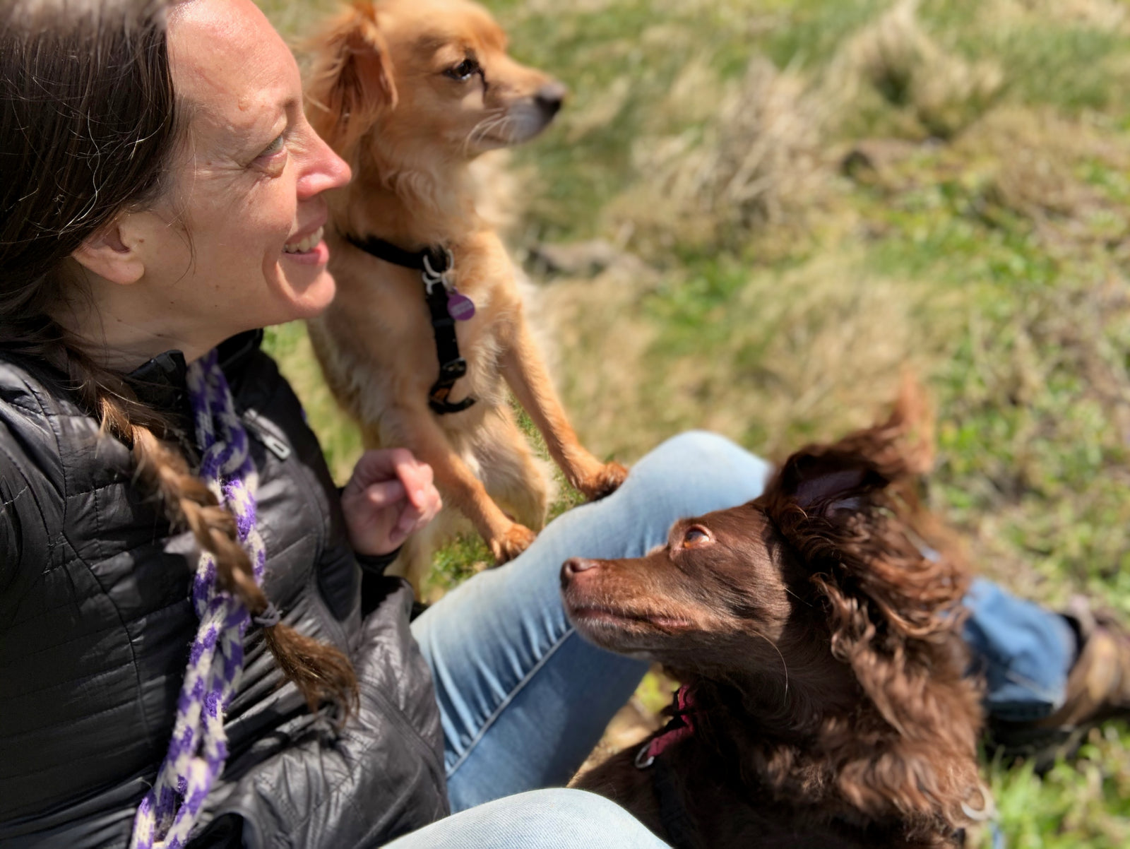 Grisha Stewart Dog Trainer with Mendota BAT Leash.