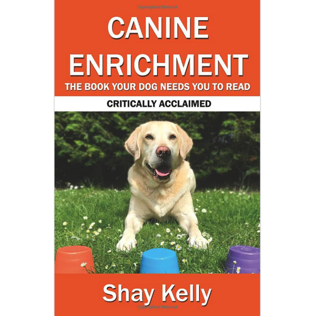 Canine Enrichment eBook — Clickstart Dog Training