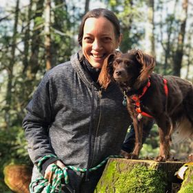 Miscellaneous Purchase in Dollars