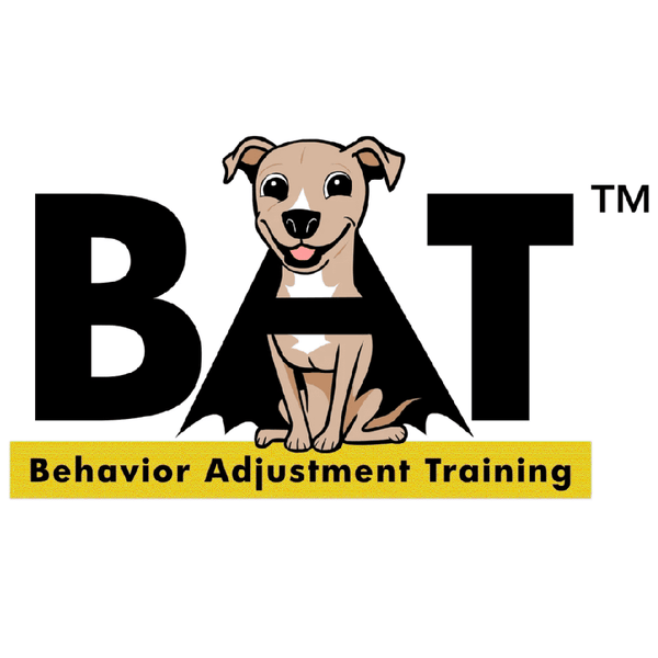 Behavior Adjustment Training for Dogs: Transform Aggression Fast