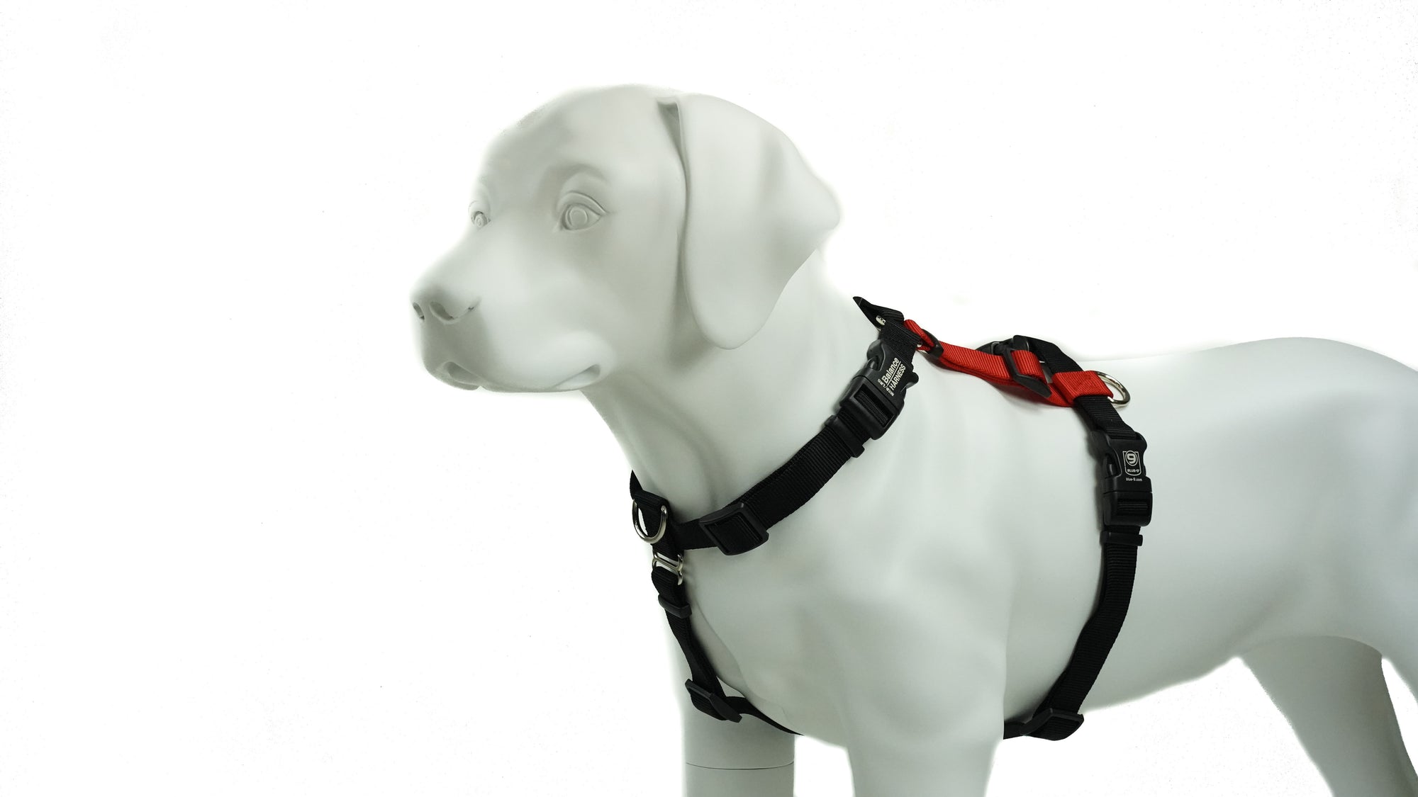 Balance Harness Buckle Neck Grisha Stewart Dog Store