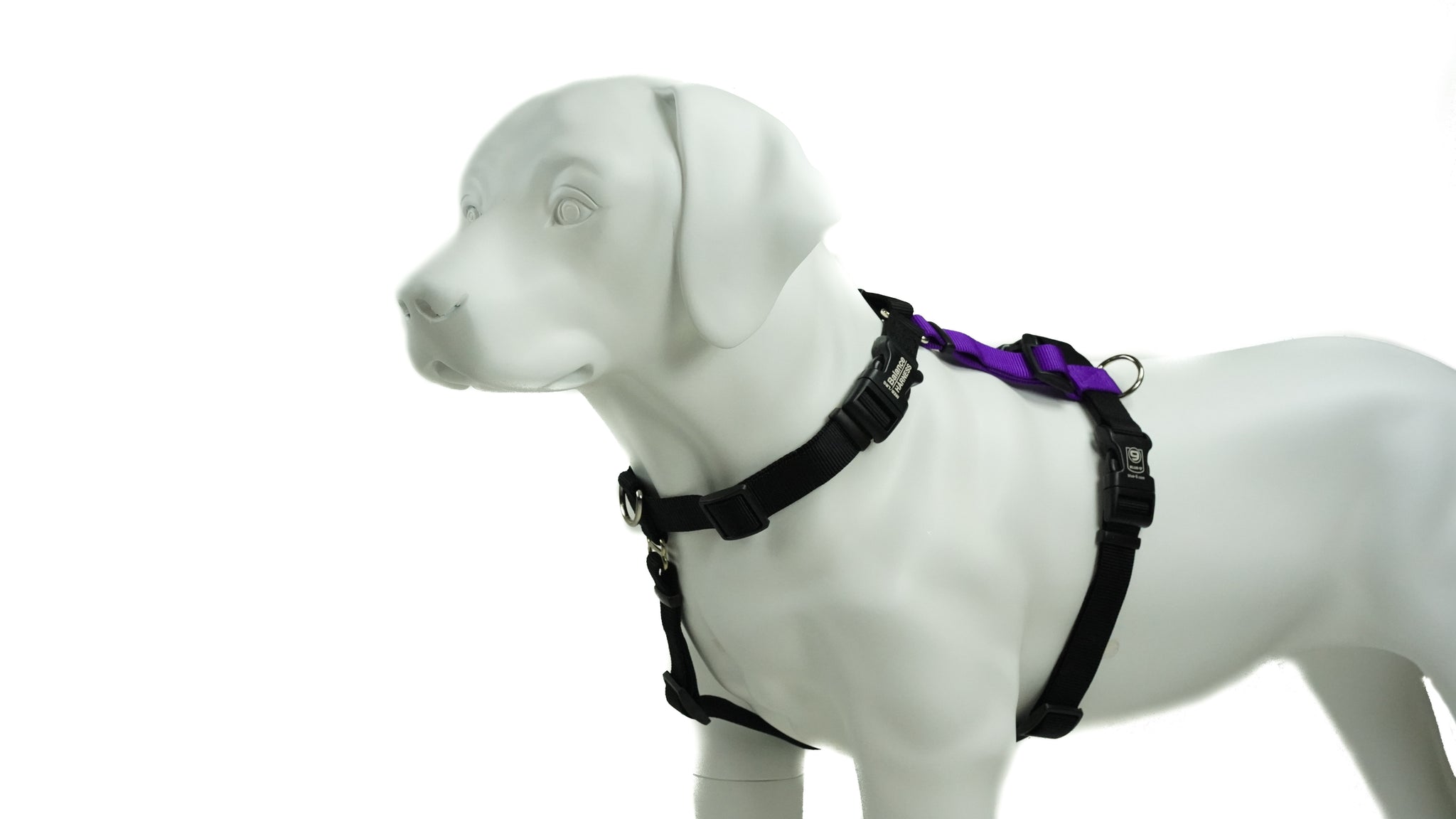 Symmetry Line: All-in-One Double-Ended Dog Leash 16 Feet 1/2 inch - Grisha  Stewart Dog Store
