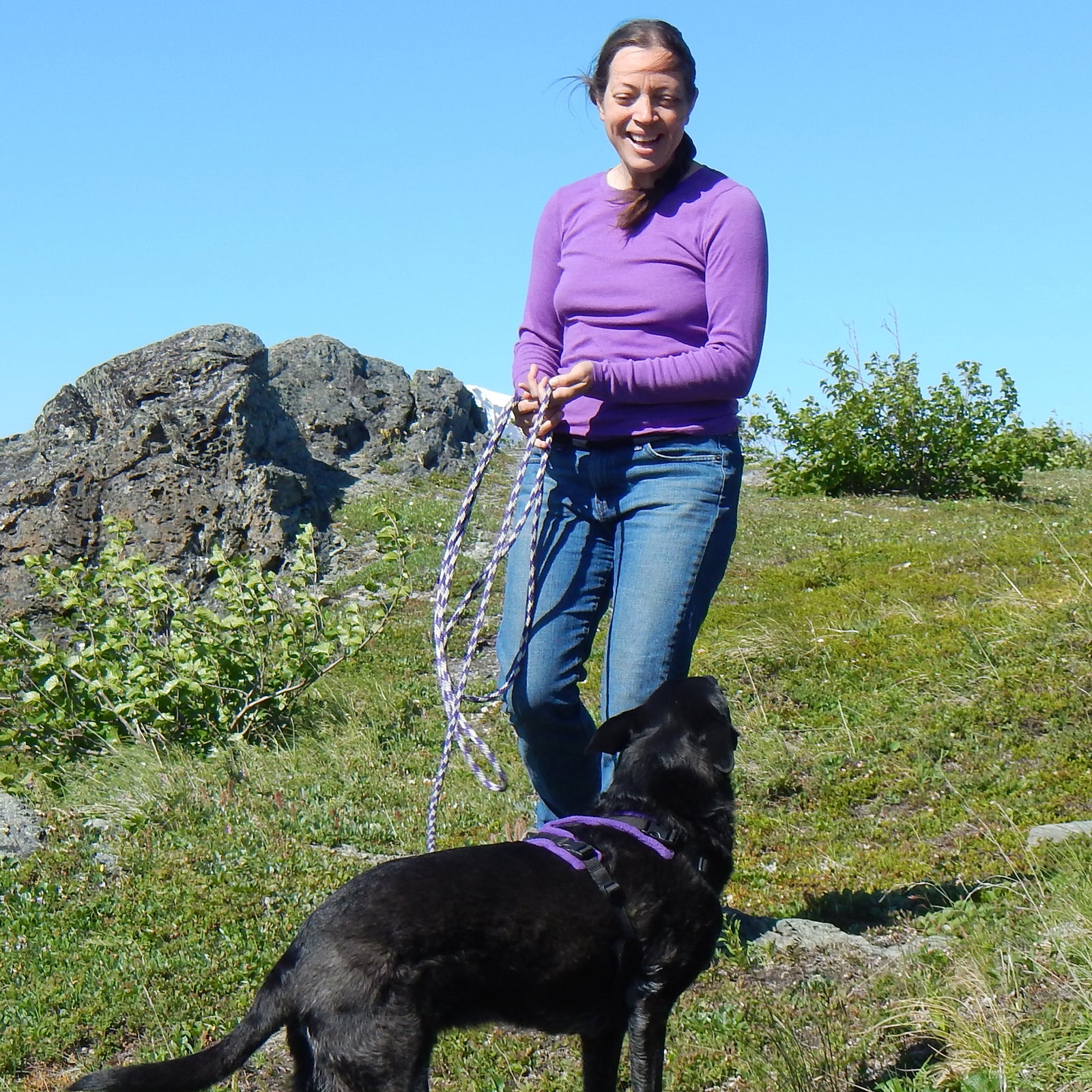 BAT 101: Self-paced BAT Set-ups for Reactivity Online Course