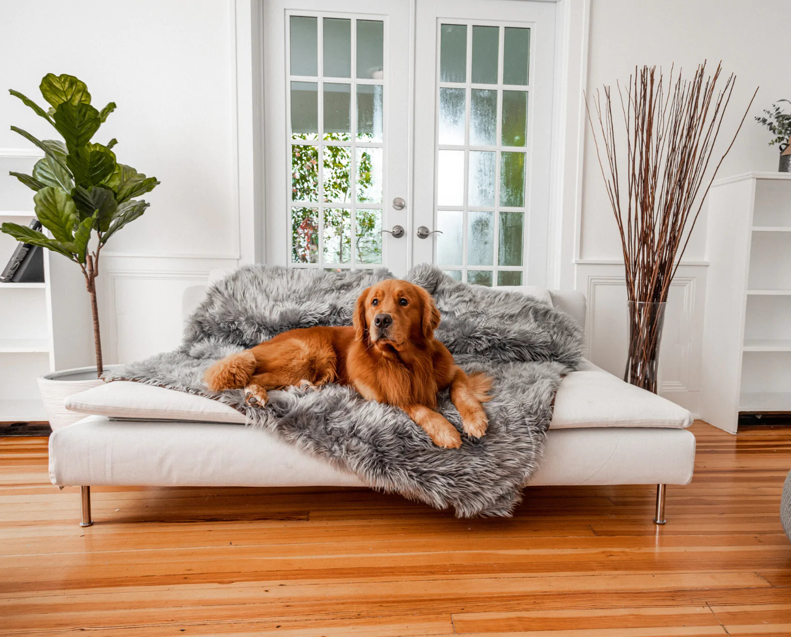 Dog themed throw blankets outlet