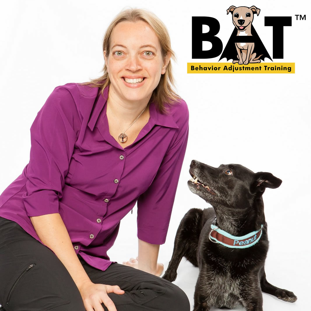 Evolution of BAT 2.0 (Recorded Live Webinar)