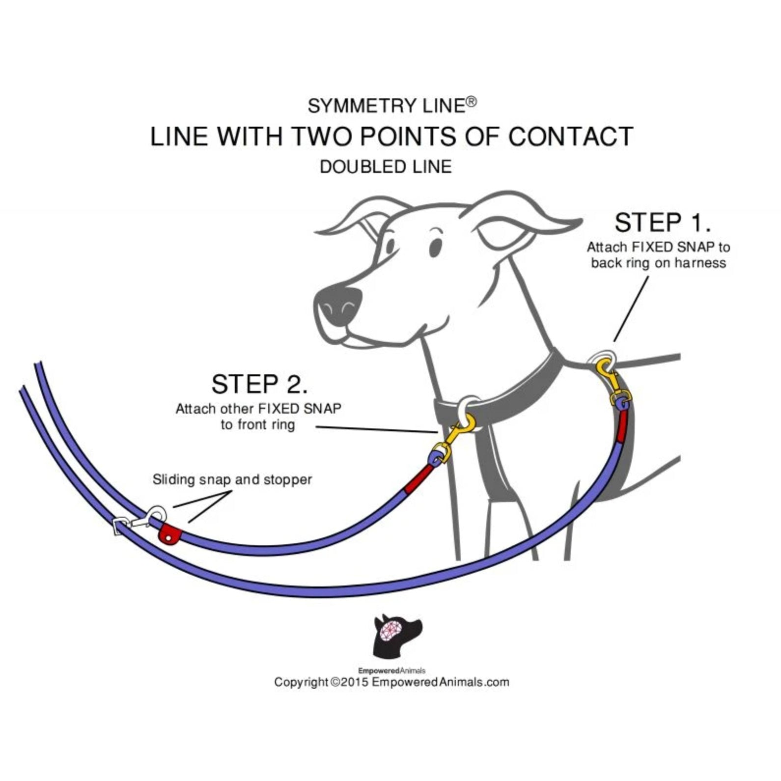 Double ended leash best sale