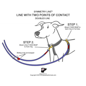 Symmetry Line: All-in-One Double-Ended Dog Leash 16 Feet 1/2 inch