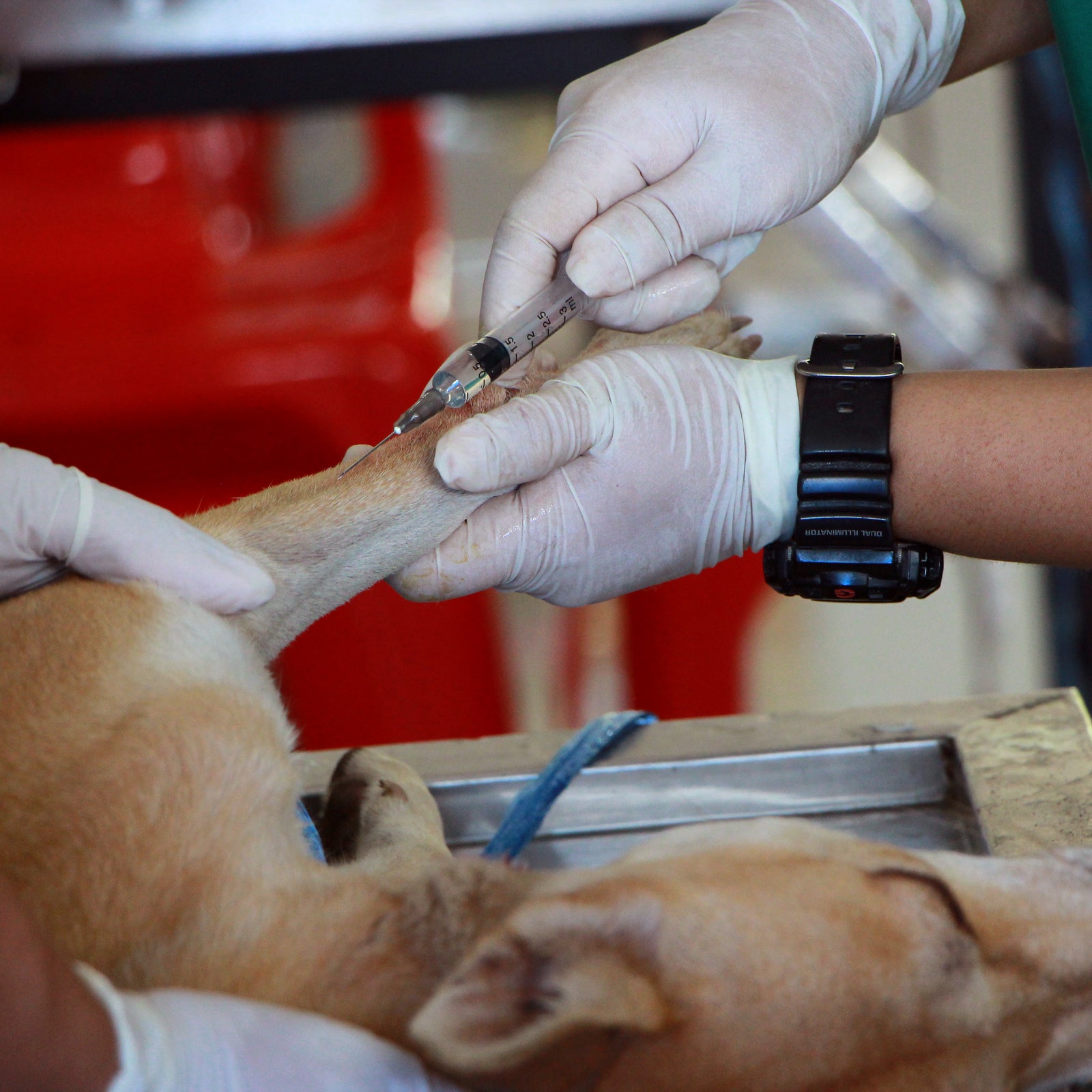 Cooperative Care Streaming Video Series