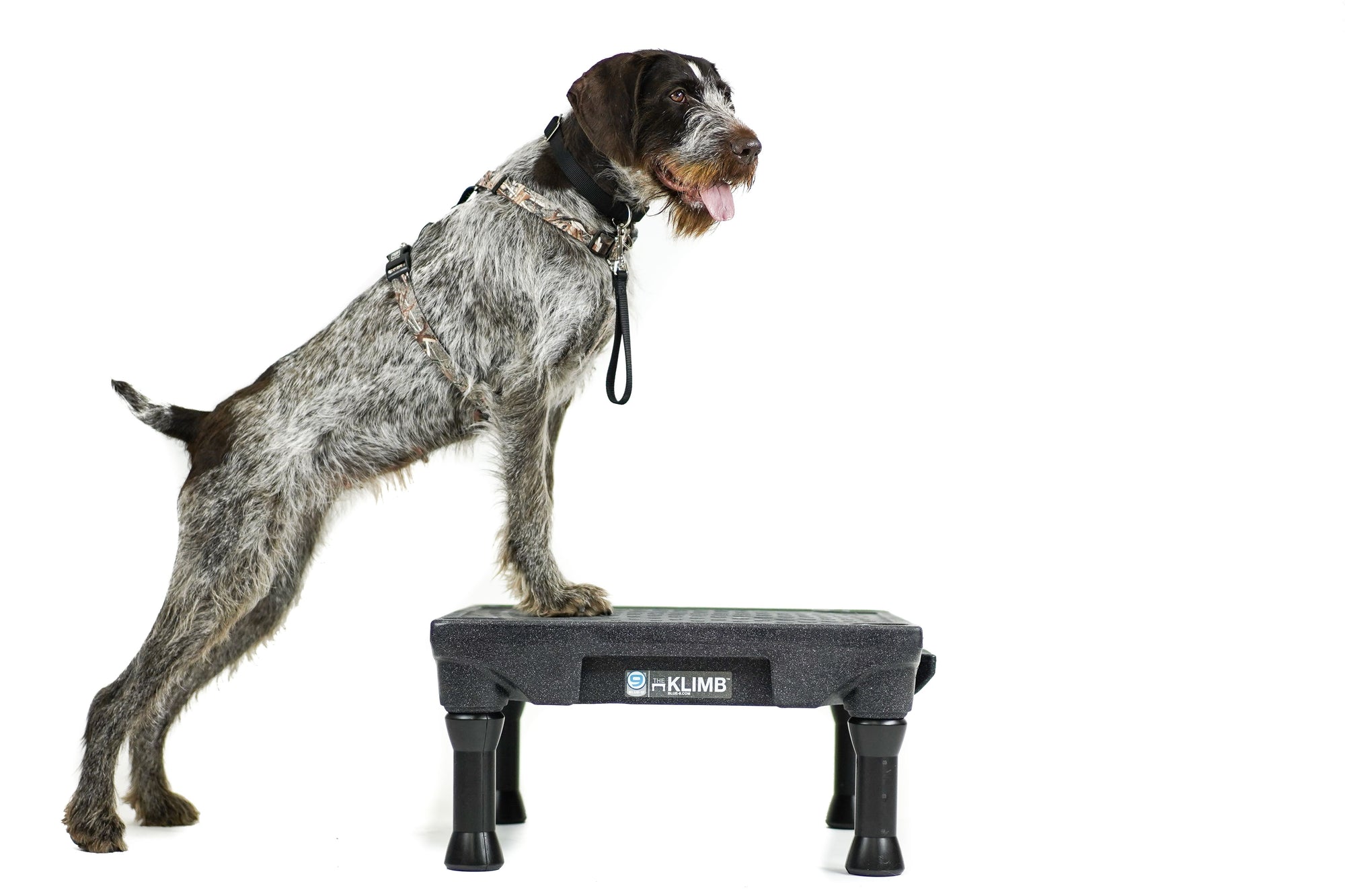 KLIMB Dog Training Platform Grisha Stewart Dog Store