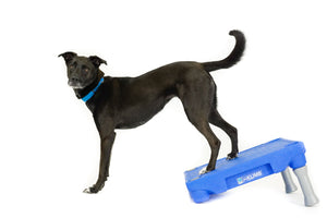 KLIMB™ Dog Training Platform