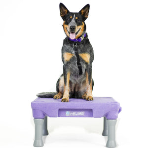 KLIMB™ Dog Training Platform