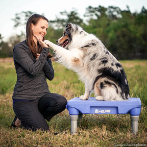 KLIMB™ Dog Training Platform