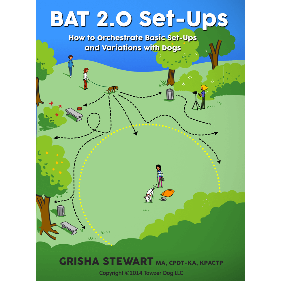 BAT Set-Ups for Dog Reactivity: BAT Empowerment Streaming Video 5