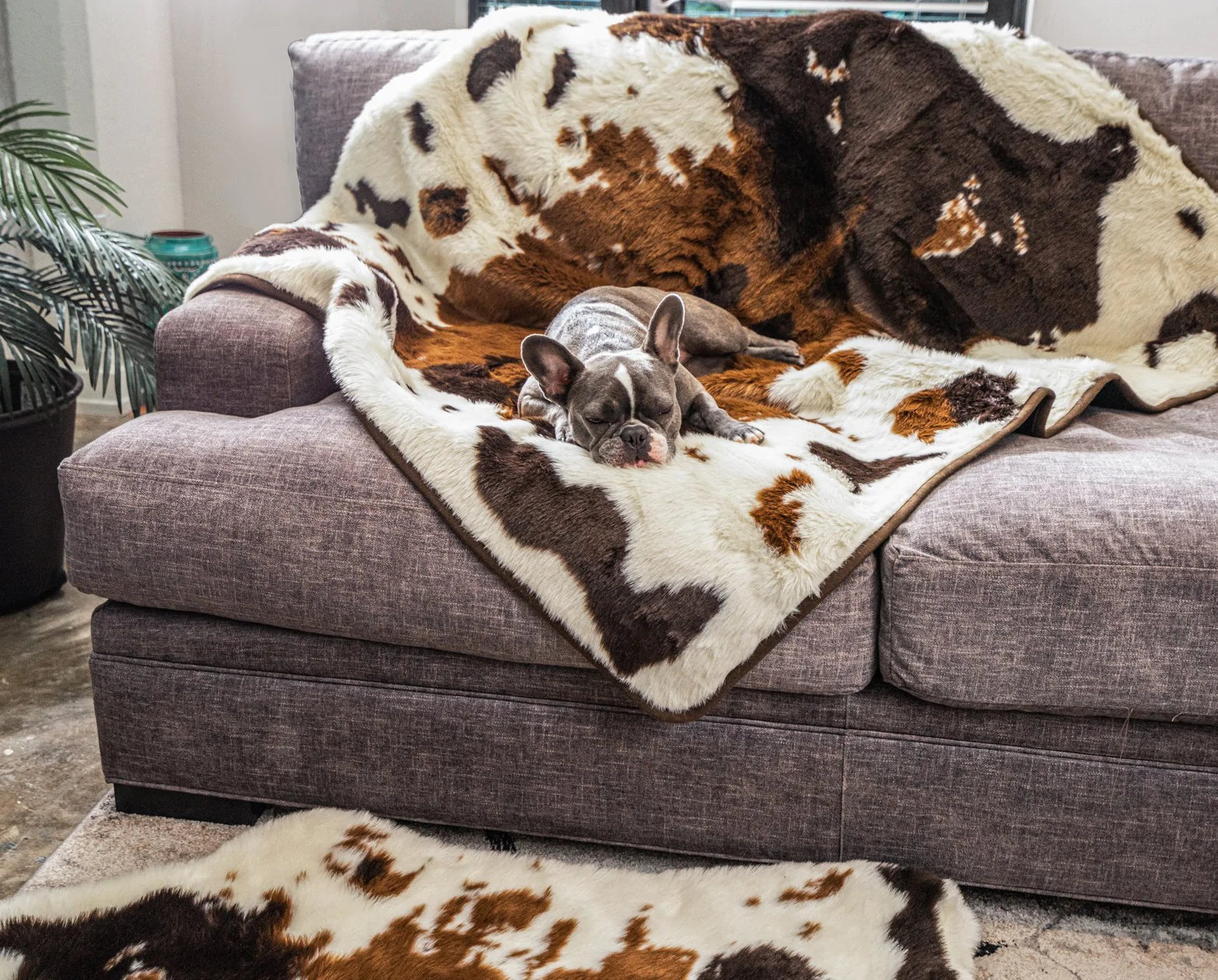 Pupprotector hot sale throw blanket